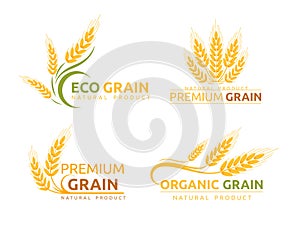 Premium grain flat vector logotype designs set. Organic cereal crops, natural product advertising. Ripe wheat ears