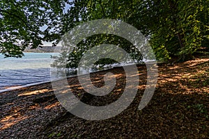 Premium hiking trail Seegang on Lake Constance photo