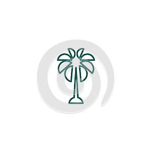 Premium palm logo design