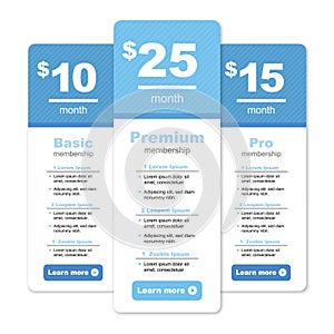 Premium Pricing and Membership Graphic w Different Options and Plans photo