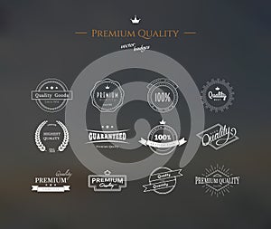 Premium quality labels set