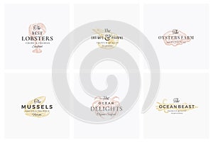 Premium Seafood Abstract Vector Signs, Symbols or Logo Templates Set. Elegant Hand Drawn Shrimp, Mussel, Oyster, Crab