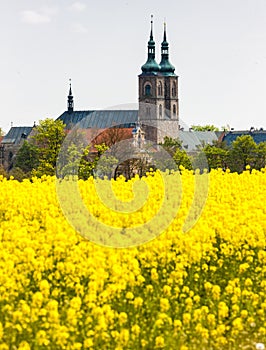 premonstratensian monastery Tepla, Czech Republic