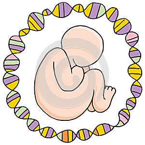 Prenatal Genomic Research photo