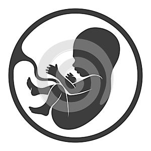 Prenatal human child with placenta silhouette