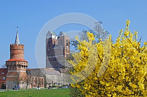 Prenzlau,Uckermark,Germany