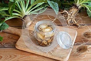 Preparation of alcohol tincture from wild teasel root in a jar