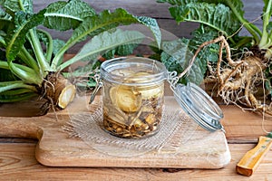 Preparation of alcohol tincture from wild teasel root