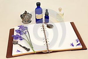 Preparation of Bluebell Flower Natural Healing Essence