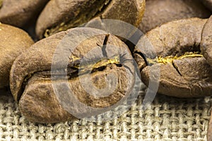 Preparation for a coffee menu is made from coffee beans