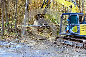 In preparation for construction builder uses a tractor to uproot trees at forest photo