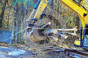 During preparation for construction, a builder uses tractor to uproot trees in forest photo