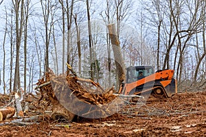 In preparation for construction of a residential complex, excavators, tractors are uprooting trees