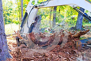 In preparation for construction work, workers use excavators to uproot trees prepare ground