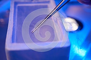 Preparation of cryotube filled with embryos for vitrification