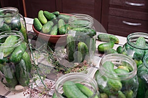 Preparation of cucumbers for home canning pickles.