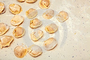 Preparation of dumplings