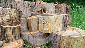 Preparation of firewood for the winter. A large pile of firewood.