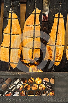 Preparation of flame salmon over the open fire of an open fireplace loaded with wood