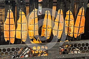 Preparation of flame salmon over the open fire of an open fireplace loaded with wood