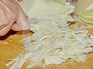 Preparation of fresh cabbage for home salting. Chopping. Housekeeping. Finely chopped cabbage for salting.