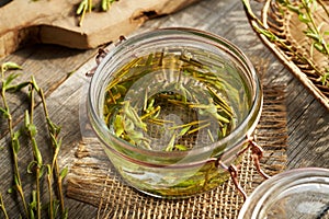 Preparation of gemmotherapeutic herbal tincture from willow branches with buds in a jar