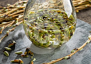 Preparation of a gemmotherapeutic tincture from white willow buds