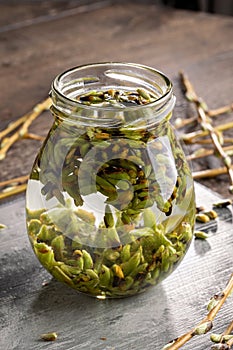 Preparation of a gemmotherapy tincture from white willow buds