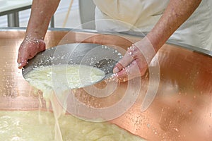 Preparation of the Grana Padano cheese photo
