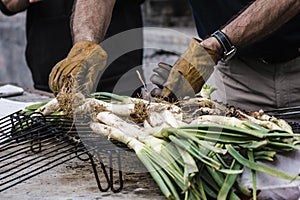 Preparation of grilled calÃ§ots, variety of tender onion.