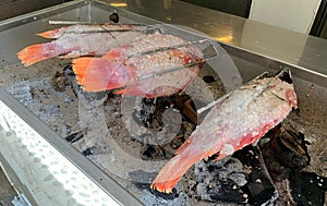 A preparation of grilled red snapper fish in Thai food restaurant with charcoal on stove