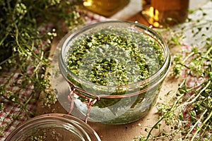 Preparation of herbal tincture from fresh blooming shepherd\'s purse plant in a glass jar on a table