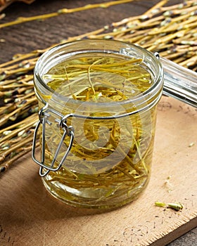 Preparation of herbal tincture from white willow bark in spring