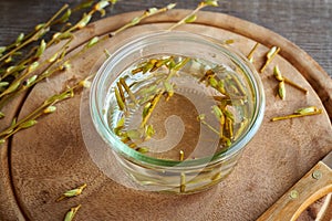Preparation of a herbal tincture from willow buds and bark