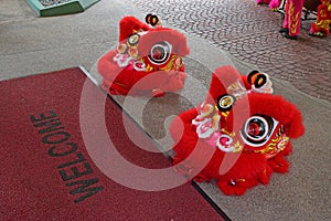 Preparation of Lion dance show or performance during Chinese New Year period