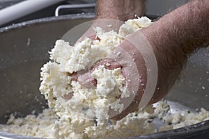 Preparation of mozzarella in a dairy photo