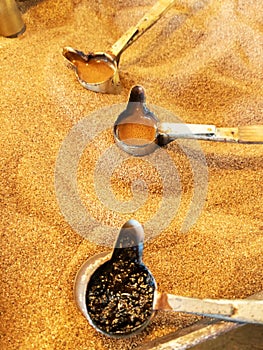 Preparation of natural coffee in Turks on the sand.