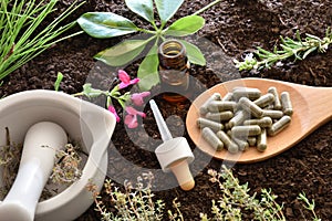 Preparation of natural plant medicine with elements on soil