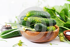 Preparation pickled marinated cucumbers