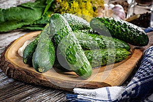 Preparation for pickling cucumbers