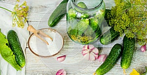 Preparation for pickling cucumbers. Preservation.