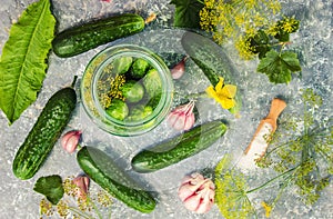 Preparation for pickling cucumbers. Preservation.