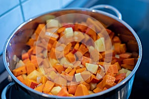 Preparation of a pumpkin puree soup in a pan