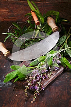 Preparation of sage for cooking