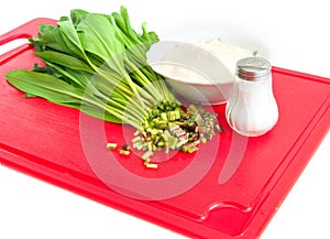 Preparation of salad from a ramson with sour cream