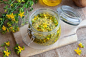 Preparation of St. John`s wort oil