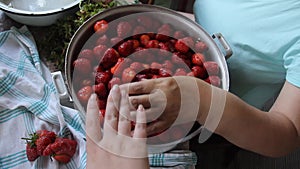 Preparation of strawberry jam. hands of an old woman clean berries from leaves, stalks. hand of a young woman reaches