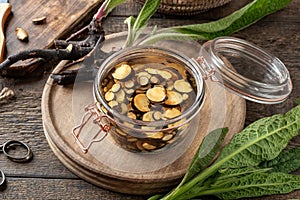 Preparation of tincture from fresh comfrey root collected in spring