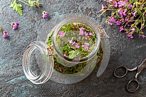 Preparation of tincture from fresh herb-Robert plant