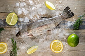 Preparation of trout, sliced lemon and green rosemary. Cooking food on wooden board